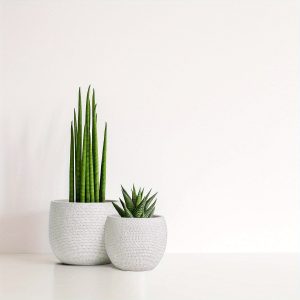 Ceramic Plant Pot Set 2 - White Flower Pots - Indoor & Outdoor Planters (White)