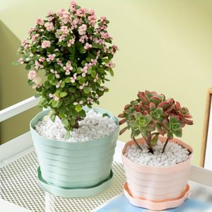 Creative And Simple Home Balcony Special Fleshy Pots Breathable And Durable Indoor Courtyard Large Diameter Large Plastic Flower Pots