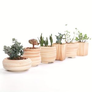 6pcs/set Mini Plant Pots Wooden Pattern Succulent Plant Pot Cactus Pot Flower Pot Decorative Ceramic Planter For Home House Office Outdoor Garden Container Planter Perfect Gift Idea For Women With Drain Hole 2.56inch (Plants Not Included)